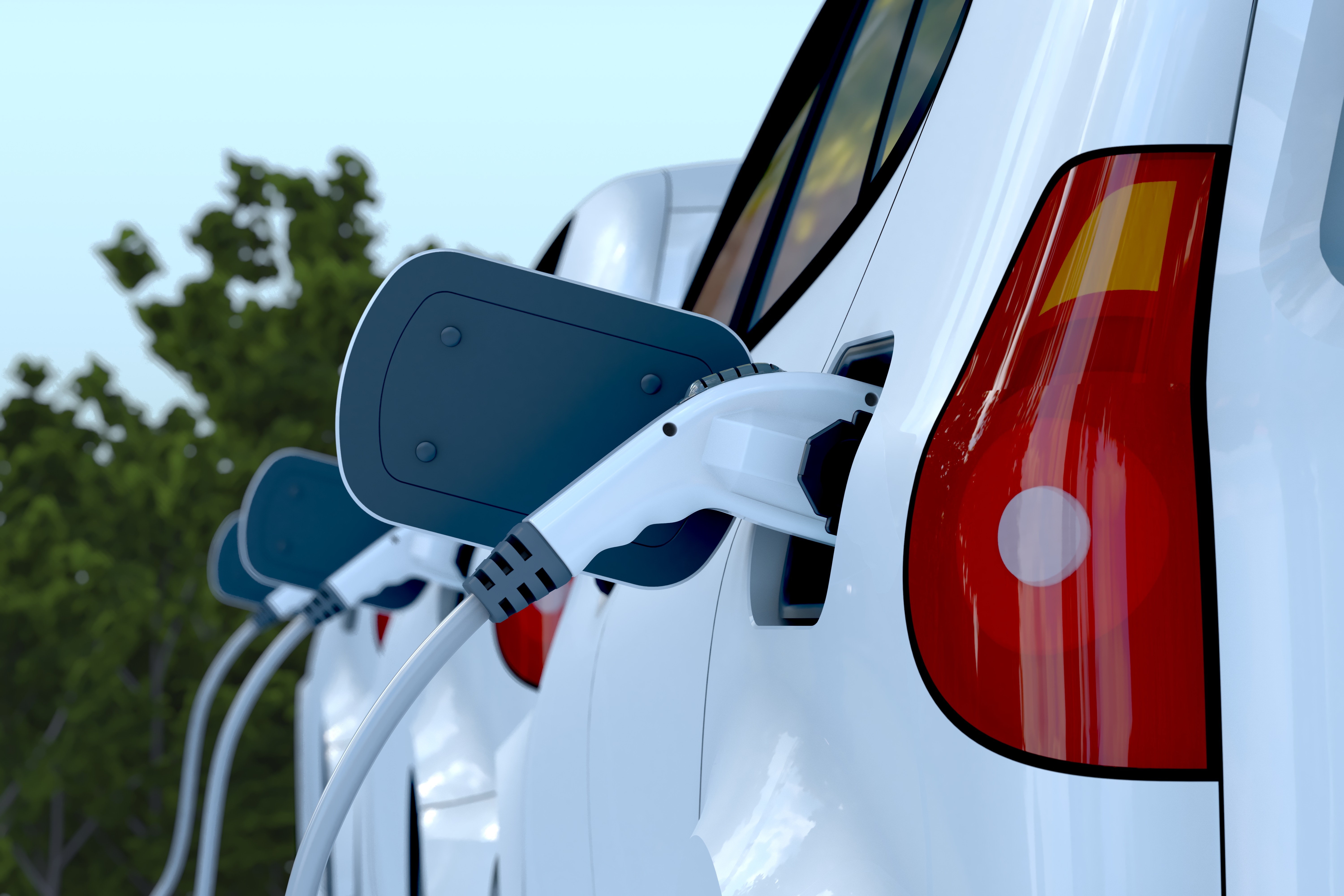 Electric vehicles being charged